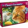 Chance Encounter: Dandelion Fun (500pc Jigsaw) -THE BOARD GAMER Sales 243901380