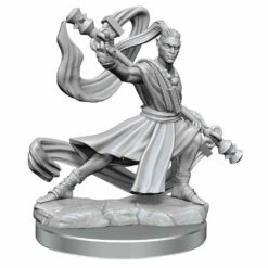 Wizkids D&D Frameworks: Elf Monk Male